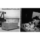 Image for article titled The Fascinating History Of The Garbage Truck And The Knoxville Mayor Behind It
